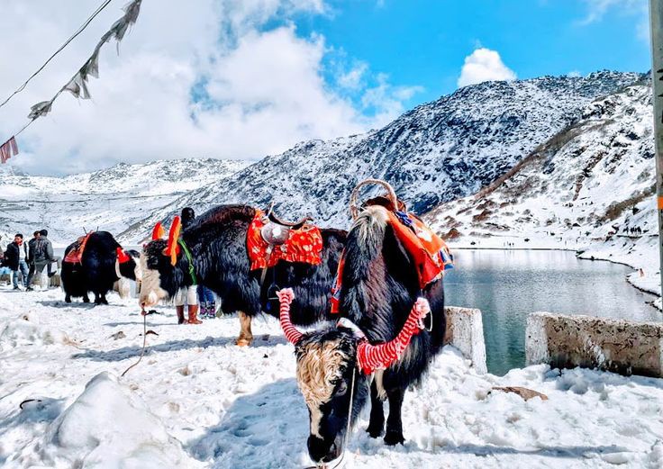 GANGTOK AND TSOMGO (4 N / 5 D)